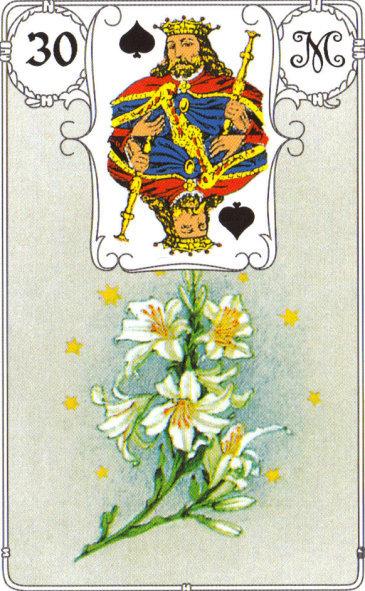 Lenormandkarte 30: Die Lilie